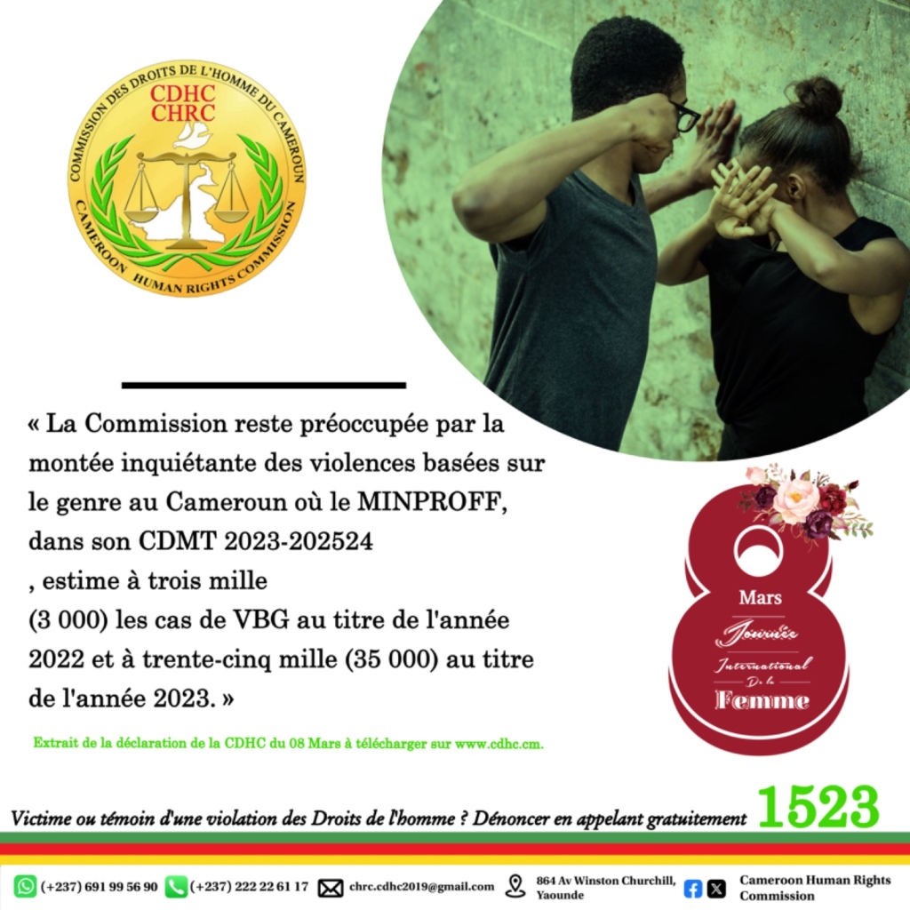 JIF 2024 :: La commission des droits de l’homme du Cameroun salue les efforts des différents acteurs
